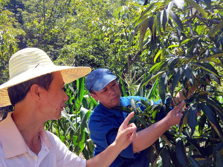 webwxgetmsgimg (13).jpg