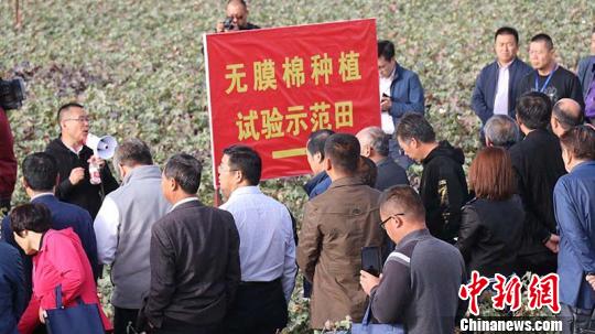 无膜棉技术为新疆农业绿色发展“添翼”（图）