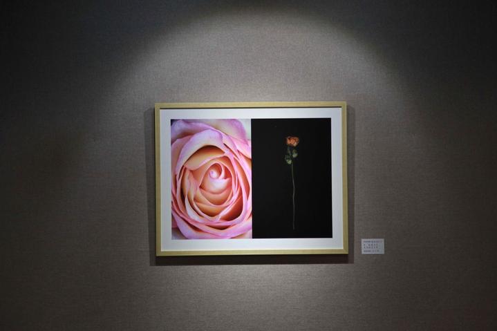 QQ图片20181220183707.jpg QQ图片20181220183707.jpg