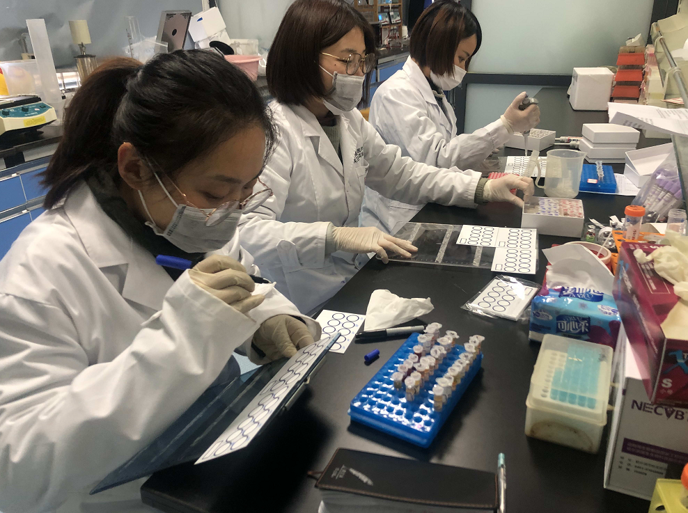 举办培训40多场 检测样品42000多份 BEAT365英国官网兽医学科党员主动请战为亚运会马术比赛提供技术保障