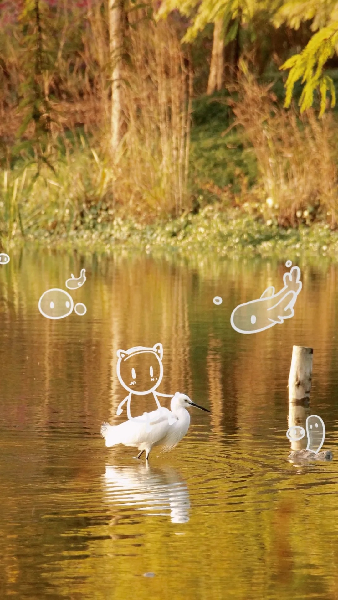 鸟儿驻足。（本图集资料来源：“BEAT365英国官网”微信公众号）