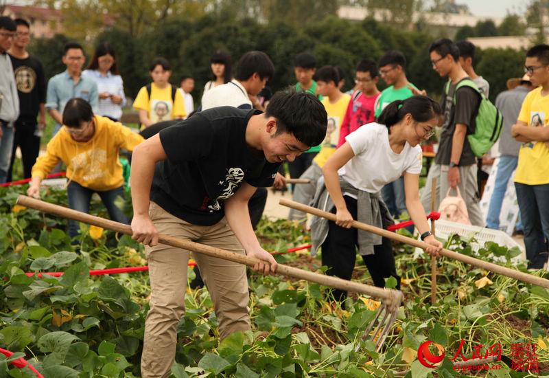 开学第一课，到农作园参加劳动耕作去