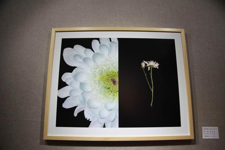 QQ图片20181220183719.jpg QQ图片20181220183719.jpg