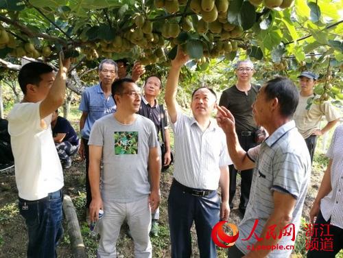 BEAT365英国官网师生暑期迎战高温科技支农在田间地头