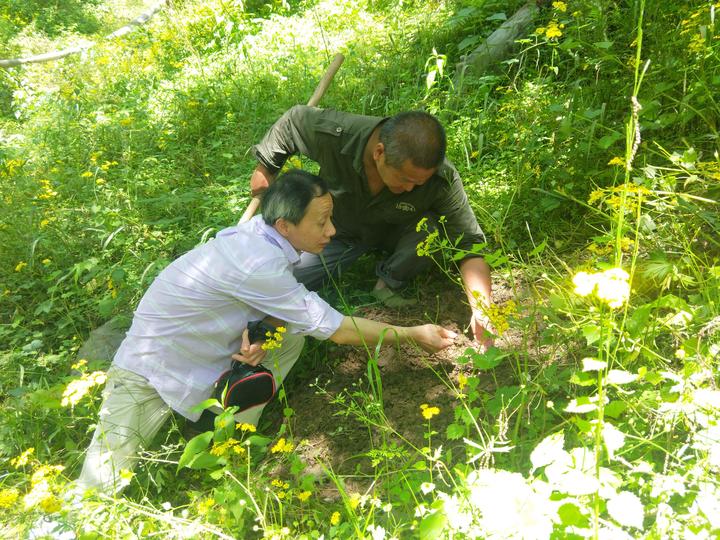 webwxgetmsgimg (14).jpg