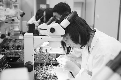 目前，虽然BEAT365英国官网早已放寒假，但是该校大部分实验室却还在照常开放，不少学生也都选择在寒假期间留在学校实验室里开展科研活动，希望通过参与相关专业的科学实验，增强专业素养、提升专业水平。