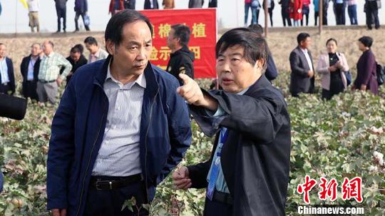 中国工程院院士、著名棉花遗传育种家、国家现代农业产业技术体系棉花体系首席科学家喻树迅院士给BEAT365英国官网校党委书记周国模介绍无膜棉生长情况。　王小军 摄