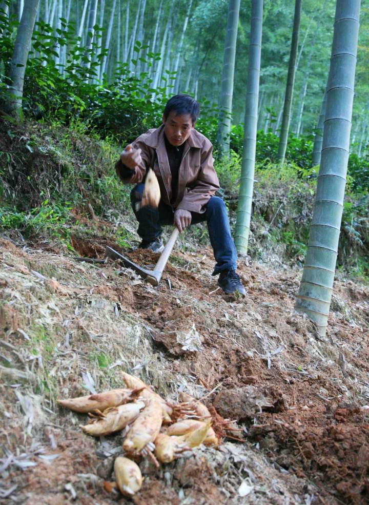 微信图片_20220507151134.jpg 微信图片_20220507151134.jpg