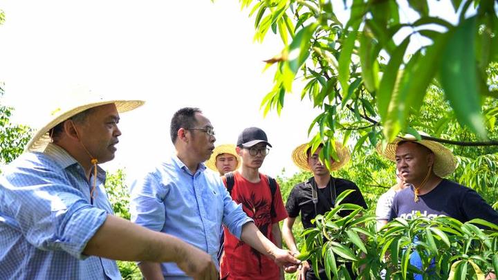 webwxgetmsgimg (47).jpg webwxgetmsgimg (47).jpg