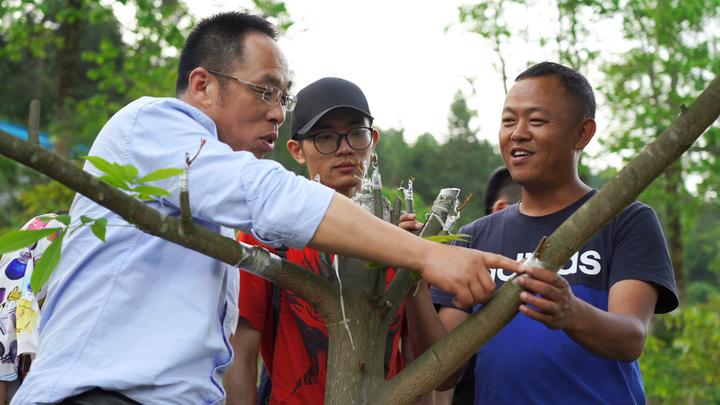 webwxgetmsgimg (46).jpg webwxgetmsgimg (46).jpg