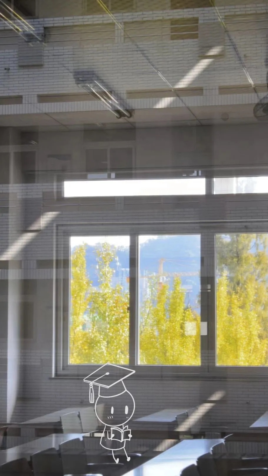 透过窗子窥见万千“金黄”。