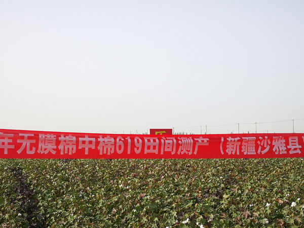 无膜棉综合技术研究与示范取得重大进展