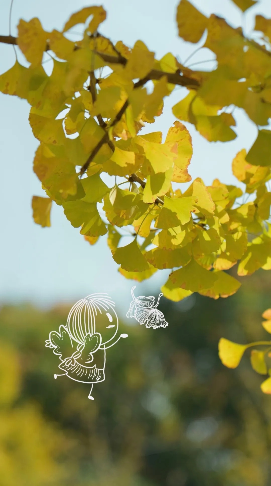 银杏叶在树枝上翩翩欲飞。