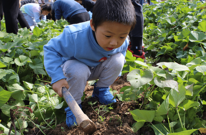 QQ截图20201024201602.png QQ截图20201024201602.png